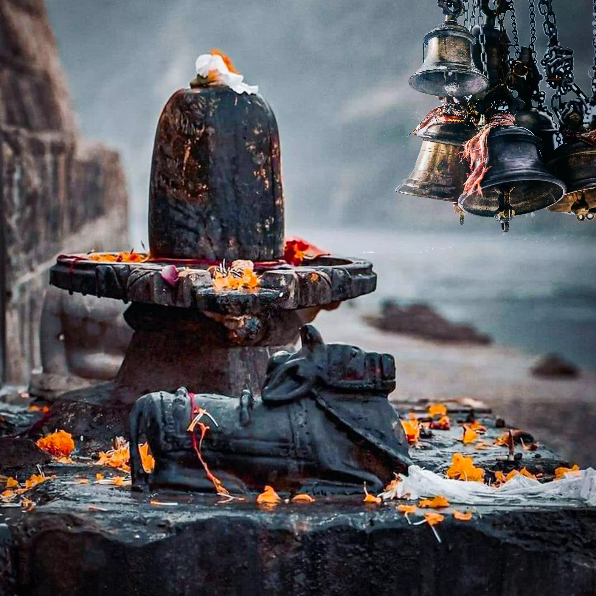 Immerse in Pure Sacred Spaces